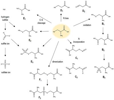 Radiation Driven Chemistry in Biomolecules—is (V)UV Involved in the Bioactivity of Argon Jet Plasmas?